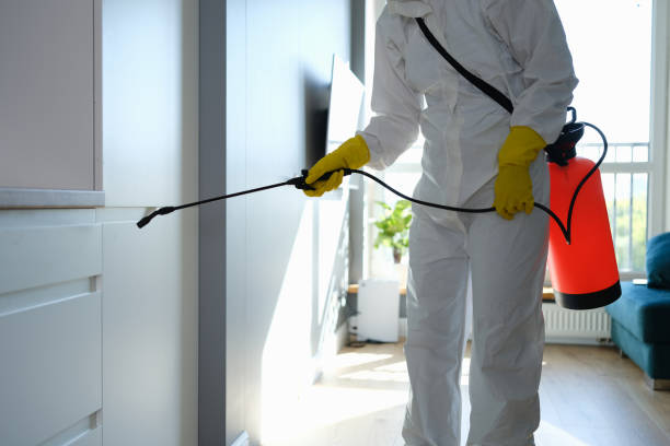 Best Certified Mold Removal  in Adel, IA